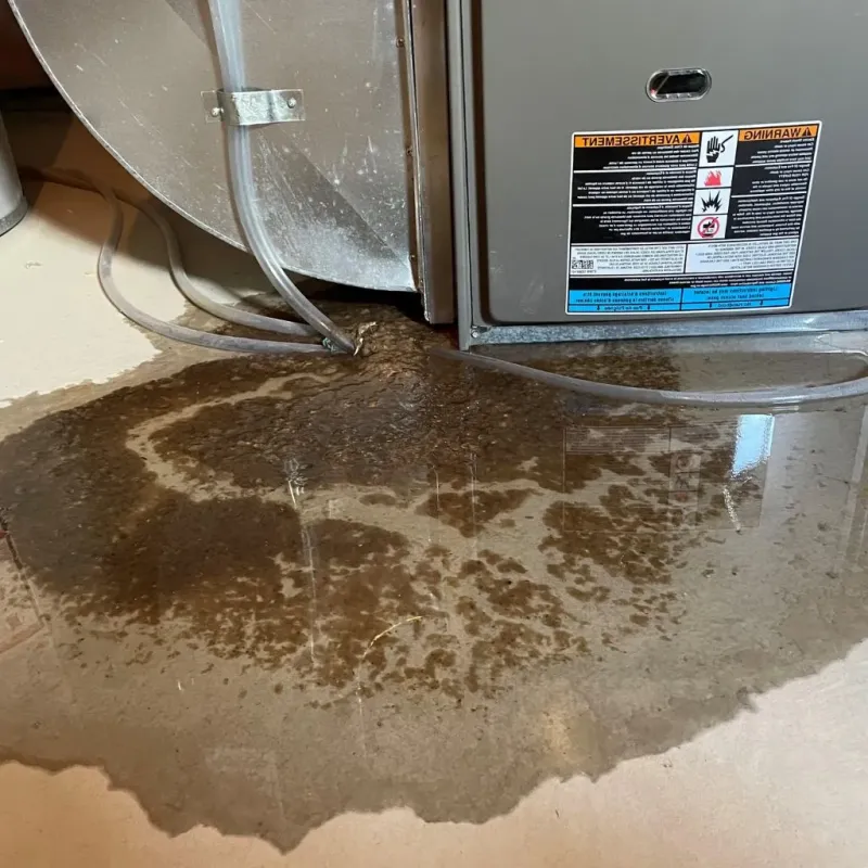 Pipe Burst and Leak Restoration in Ripley County, IN