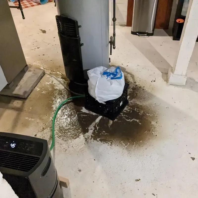 Sewage Backup Cleanup Service in Ripley County, IN